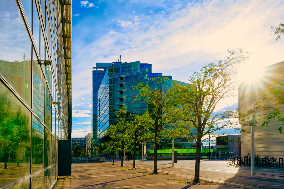 Bürogebäude in einer Allee, vor sommerlichem Himmel mit Cirrusbewölkung